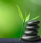 包含明尼苏达森林狼内部会议纪要流出——今晚篮板制胜，德国杯使命明确，年轻球员得到机会的词条